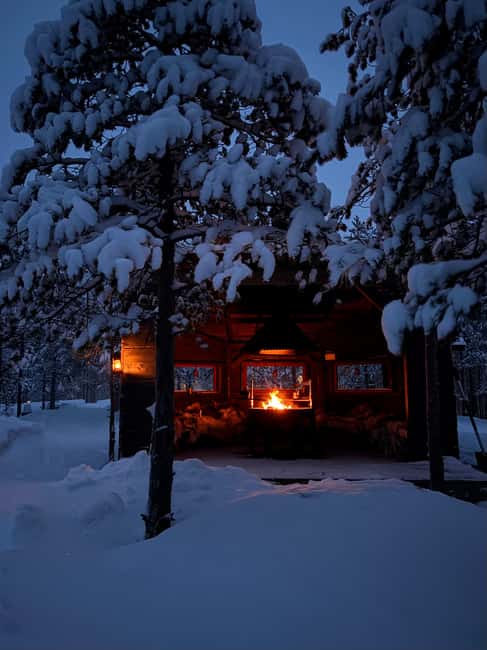 Rovaniemi: Mystical Lapland Forest Entry Ticket - Hilltop Fireplaces, Hot Drinks, and Dinner Time