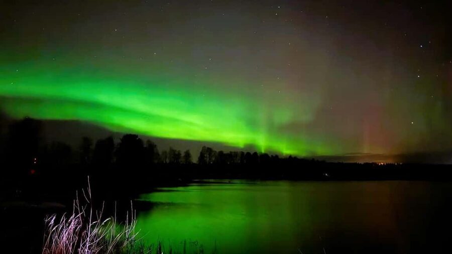 Rovaniemi: Night Tour in Search of the Aurora with BBQ - Key things to know before you go