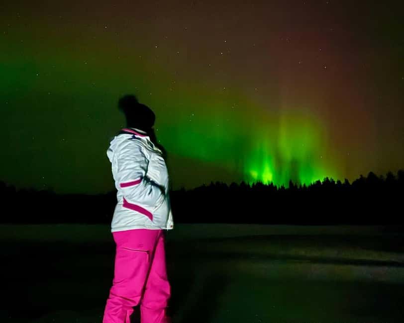 Rovaniemi: Night Tour in Search of the Aurora with BBQ - Rovaniemi at night, why this aurora plan makes sense