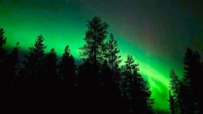 Night Tour in Search of the Aurora with BBQ