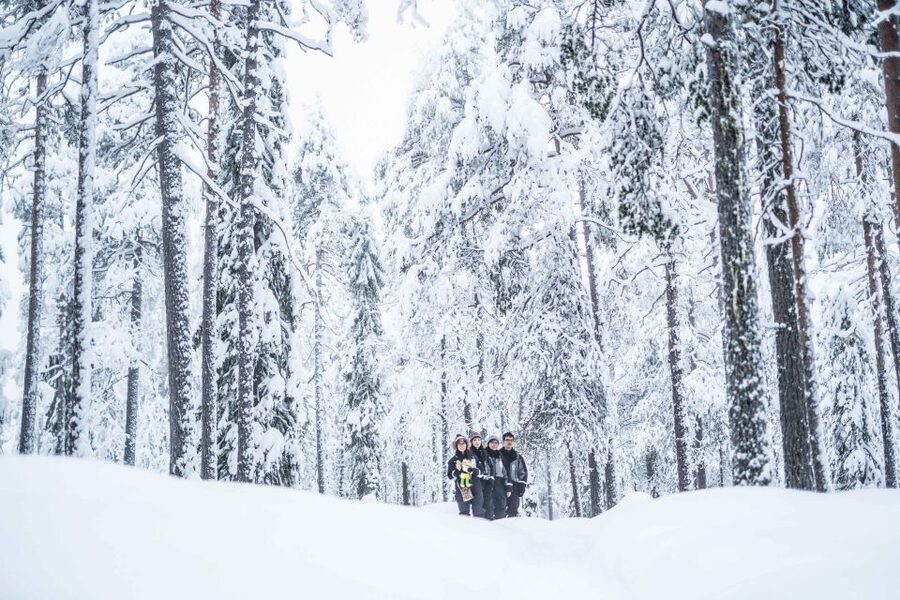 Rovaniemi: Nordic Forest Wilderness Adventure - Who this Rovaniemi wilderness hike is best for