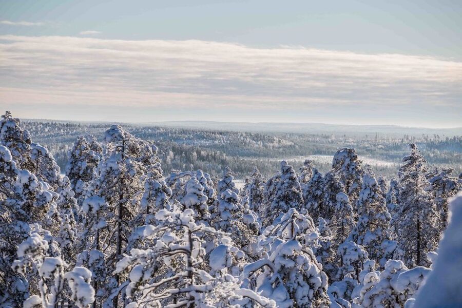 Rovaniemi: Nordic Forest Wilderness Adventure - Hills and the sightseeing tower: the payoff view