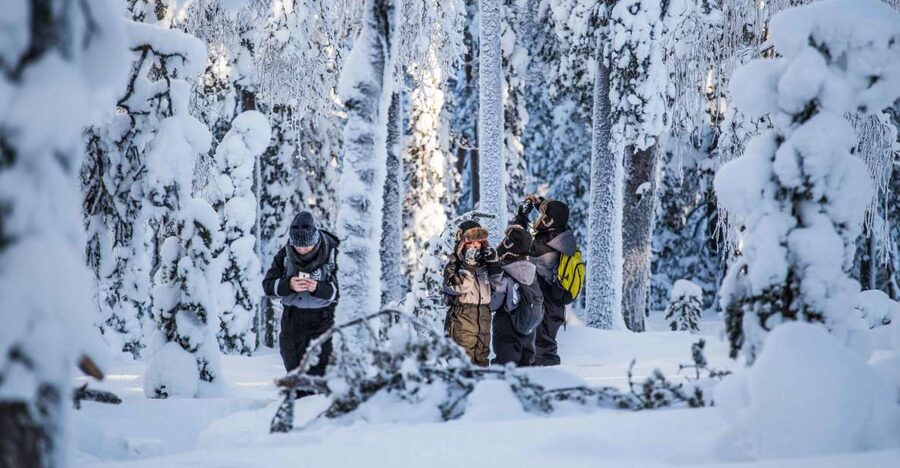 Rovaniemi: Nordic Forest Wilderness Adventure - What’s included matters: warmth, transport, and photo results