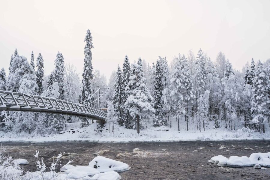 Rovaniemi: Nordic Forest Wilderness Adventure - What to pack mentally: expectations for winter walking