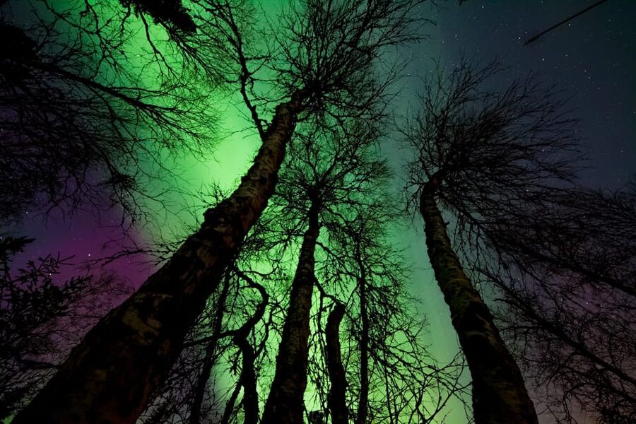 Rovaniemi: Northern Light Hunt Tour with ProCamera - Value for money: small group, long search, and what you get out of it
