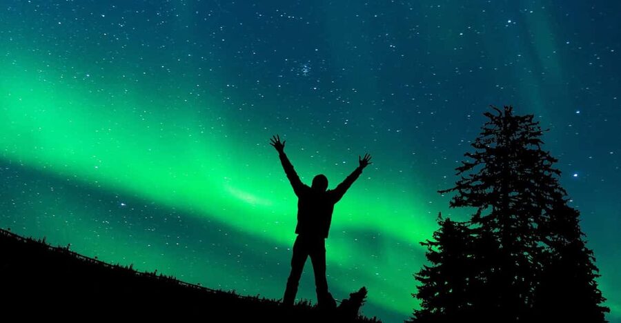 Rovaniemi: Northern Light Hunt Tour with ProCamera - Should you book the Rovaniemi Northern Light Hunt With ProCamera?