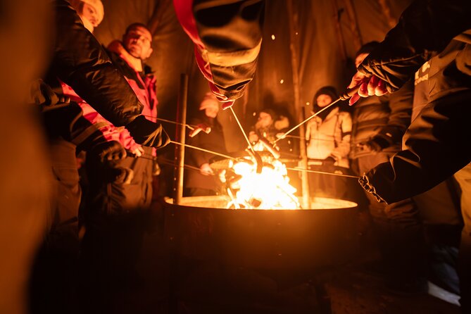 Rovaniemi Northern Light Hunt with Campfire and BBQ with Transfer - Price and value: what you get for $85.54
