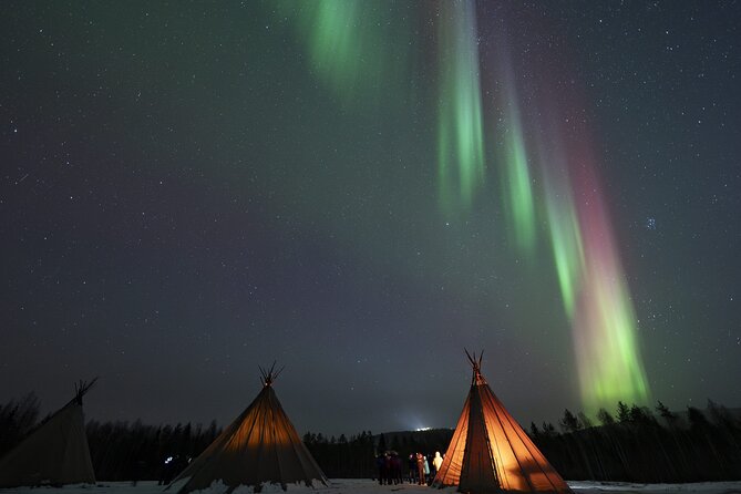 Rovaniemi Northern Light Hunt with Campfire and BBQ with Transfer - Group size and logistics: big buses and small patience