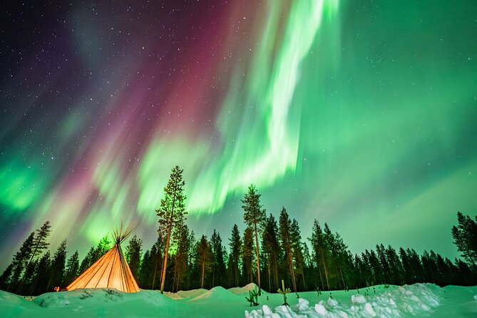 Rovaniemi Northern Light Hunt with Campfire and BBQ with Transfer - Warm overalls, campfire waiting, and what the BBQ experience includes