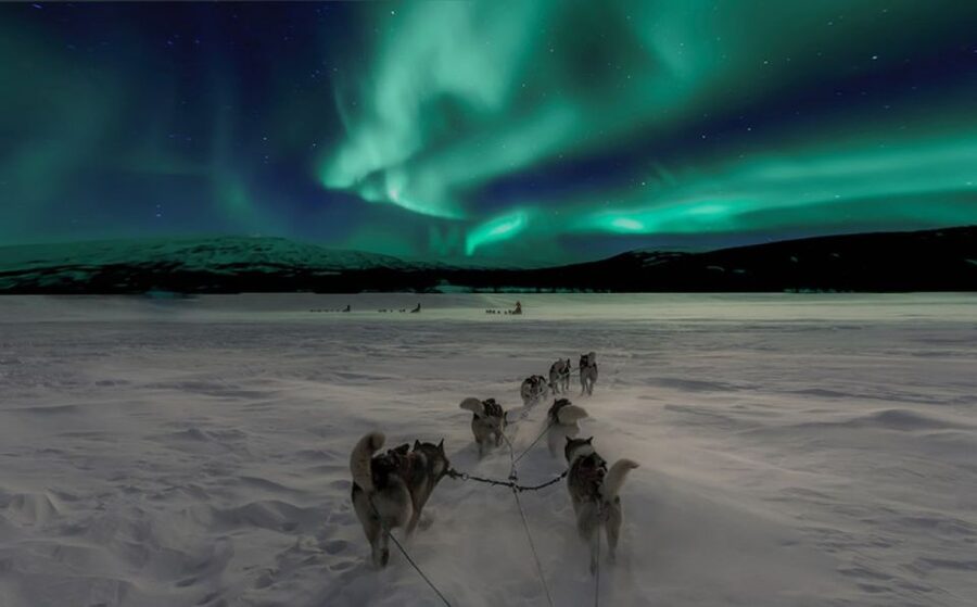 Rovaniemi: Northern Lights and Husky Sleigh Ride - Key Highlights at a Glance
