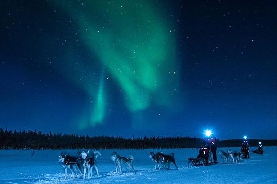 Rovaniemi: Northern Lights and Husky Sleigh Ride - Who Should Book This Husky and Aurora Night