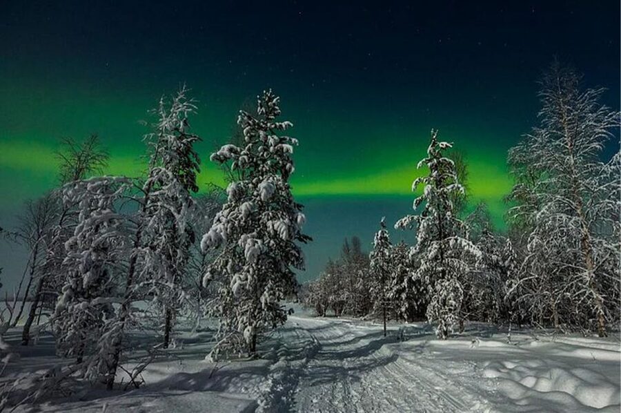Rovaniemi: Northern Lights and Husky Sleigh Ride - How the Aurora Hunt Works in Rovaniemi (Weather Is the Boss)