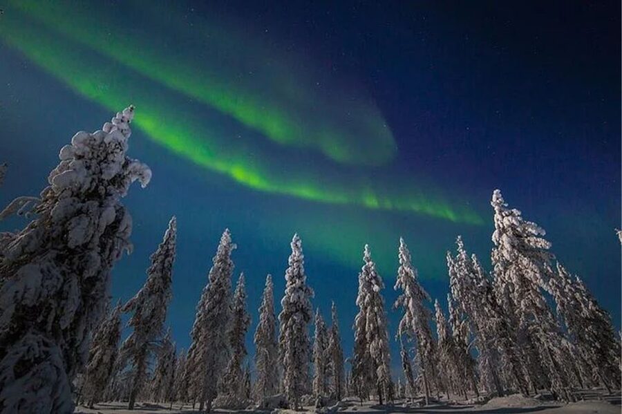 Rovaniemi: Northern Lights and Husky Sleigh Ride - Meet the Guides, Learn the Signals, Stay Present