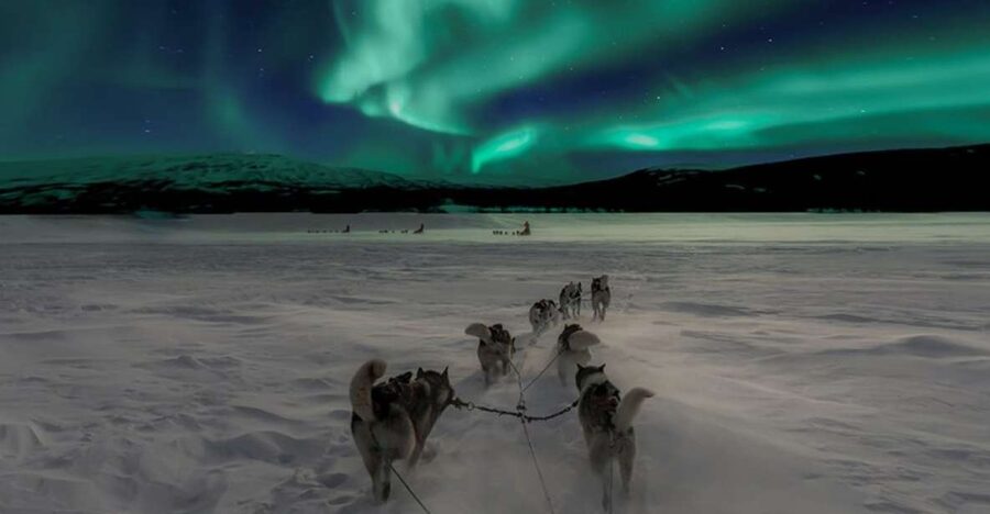 Rovaniemi: Northern Lights and Husky Sleigh Ride - The Full Flow: Pickup, Farm Stop, Sled Ride, Then Sky Time