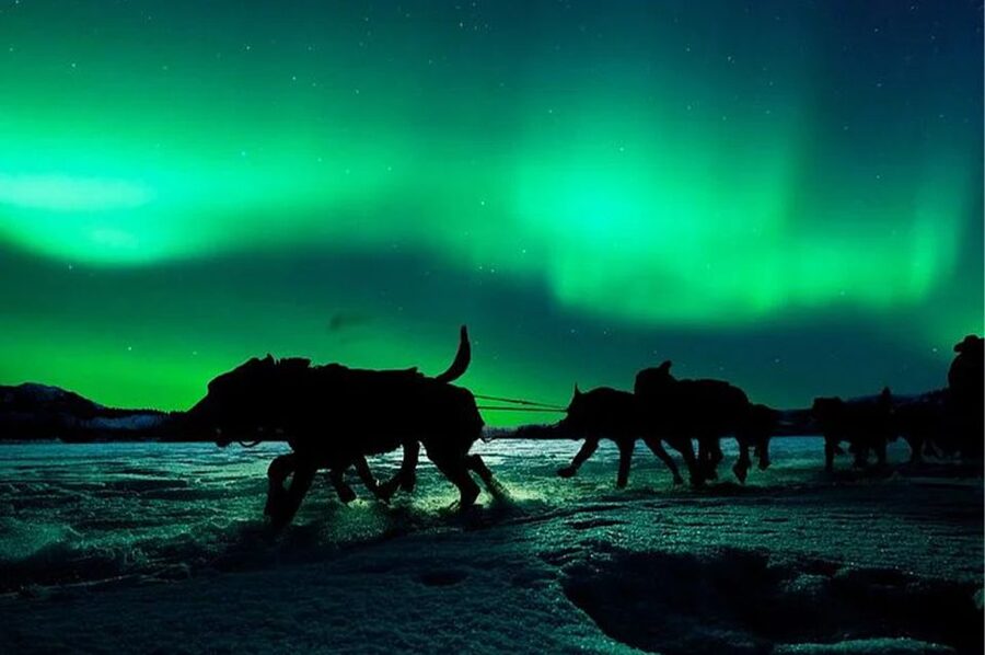 Rovaniemi: Northern Lights and Husky Sleigh Ride - Winter Clothing and “Warmth Strategy” That Actually Works