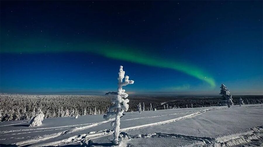 Rovaniemi: Northern Lights and Husky Sleigh Ride - Price and Value: What $269 Buys You in Real Life