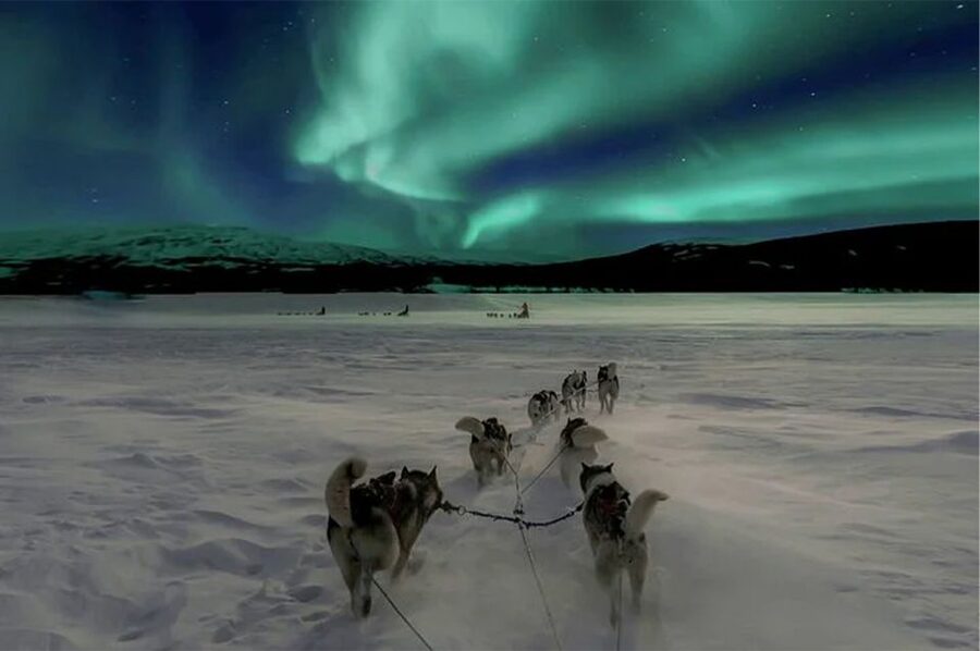 Rovaniemi: Northern Lights and Husky Sleigh Ride - Husky Sleigh Ride Details That Make or Break the Night