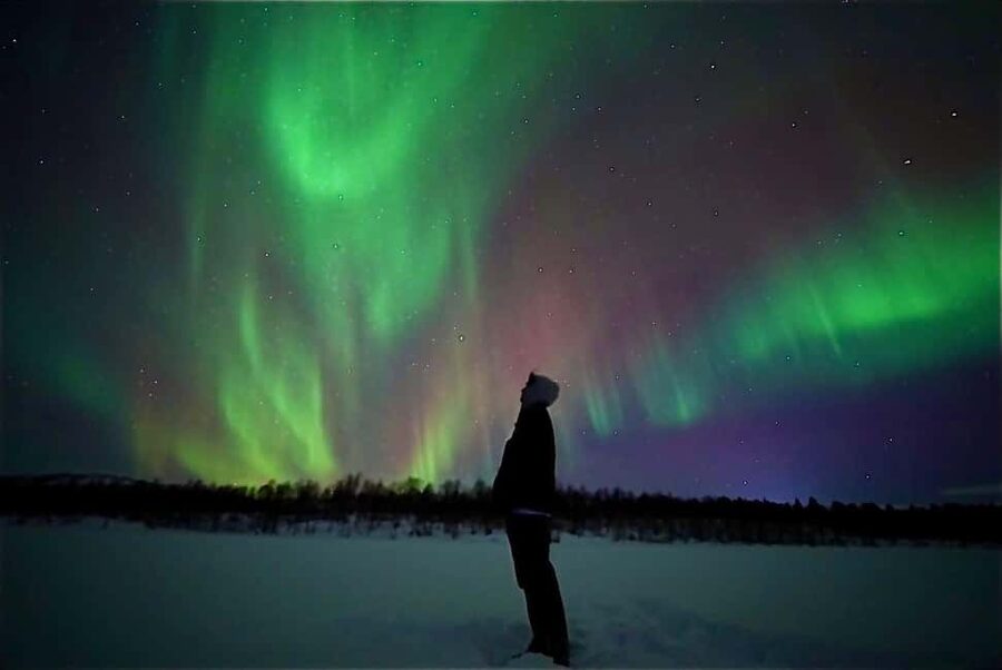 Rovaniemi: Northern Lights Aurora Guarantee Tour - How forecast-led chasing works, and why driving can reach 250 km