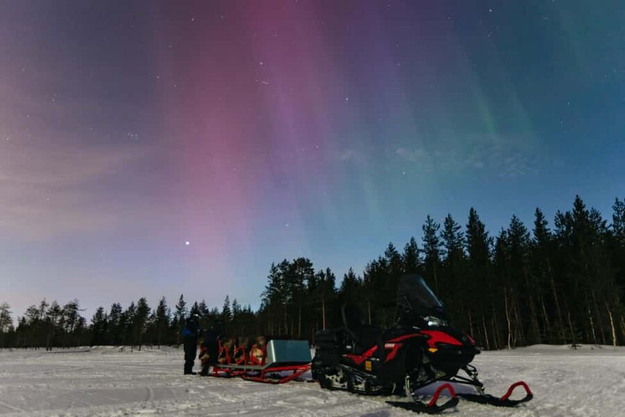 Rovaniemi: Northern Lights Family-Friendly Snowmobile Safari - Quick hit facts before you book