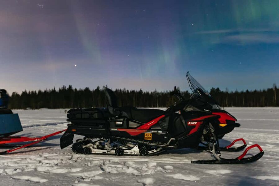Rovaniemi: Northern Lights Family-Friendly Snowmobile Safari - Small group size and guides: why max 8 matters