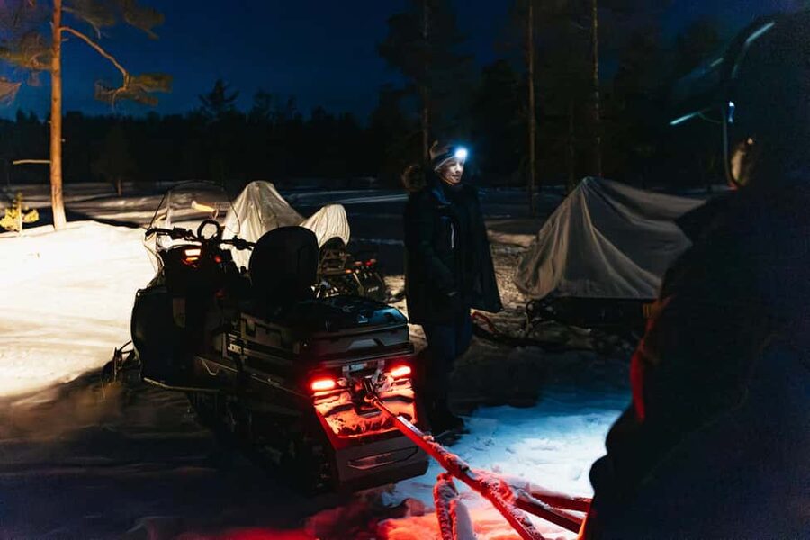 Rovaniemi: Northern Lights Family-Friendly Snowmobile Safari - Price and logistics: what $181 buys you (and what might cost extra)