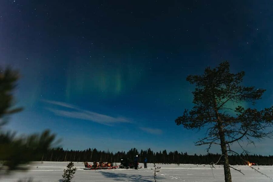 Rovaniemi: Northern Lights Family-Friendly Snowmobile Safari - What to pack, what to skip, and safety realities