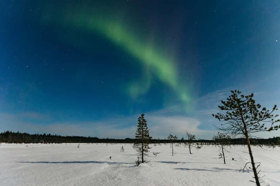 Rovaniemi: Northern Lights Family-Friendly Snowmobile Safari - Meet-up, gear, and the ride setup for adults and kids