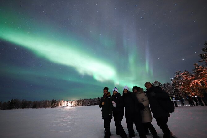 Rovaniemi: Northern Lights Group Tour - Guaranteed View - Where Rovaniemi Fits Into the Aurora Game Plan