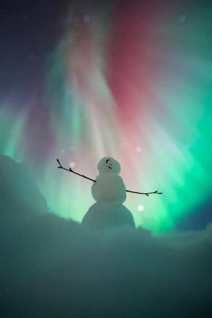 Rovaniemi: Northern Lights Group Tour with Guaranteed View - Key highlights you should care about