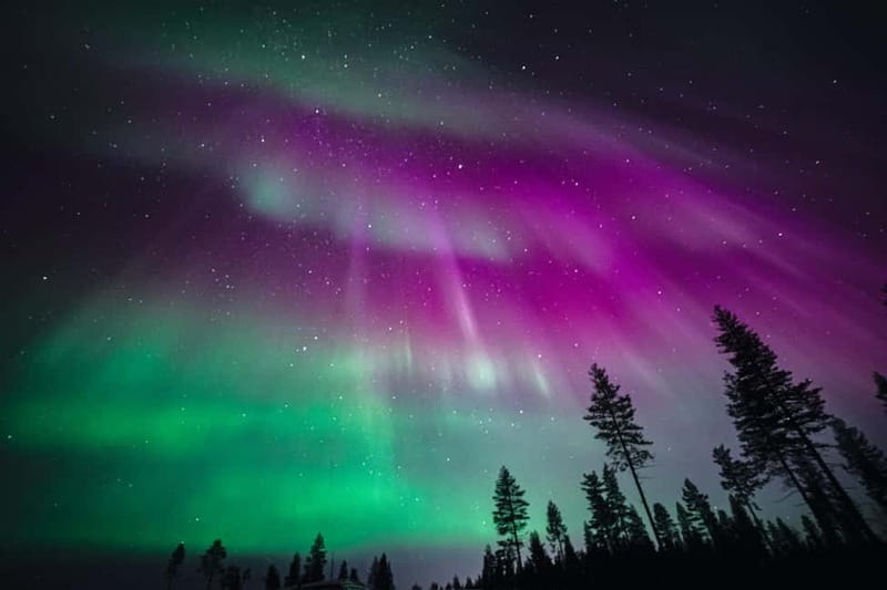 Rovaniemi: Northern Lights Group Tour with Guaranteed View - Professional photo help: what you capture, and what the sky looks like