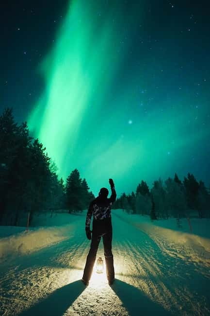 Rovaniemi: Northern Lights Group Tour with Guaranteed View - Group tour feel that still lets you actually see
