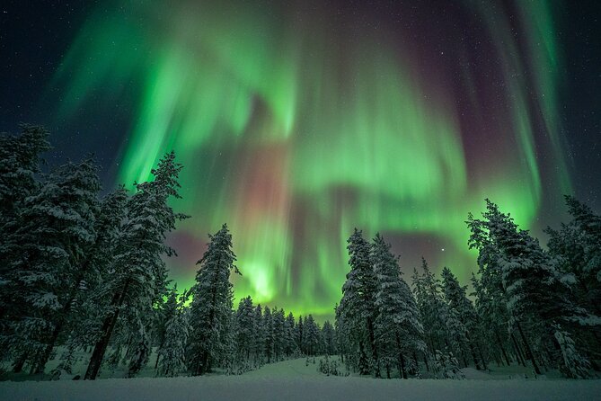 Rovaniemi Northern Lights Hunt With A Professional Photographer - Professional Photography: What You Gain Beyond Taking Pictures