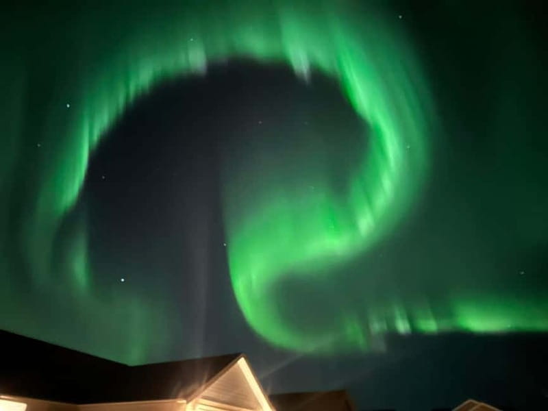 Rovaniemi: Northern Lights Hunters. Aurora + BBQ - Key Things to Know Before You Go