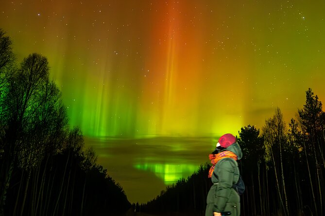 Rovaniemi: Northern Lights Hunting and Photography Tour - Key Highlights You’ll Actually Feel