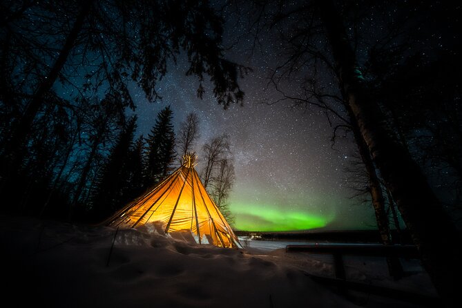 Rovaniemi Northern Lights Photography Small-Group Tour - Lapland’s night vibe: hot drinks, snacks, and BBQ in the cold