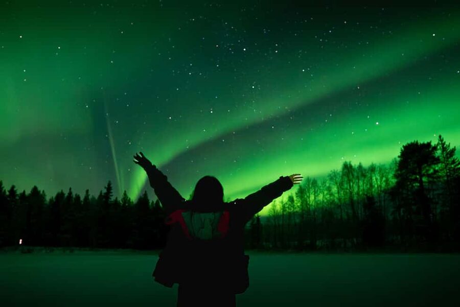 Rovaniemi: Northern Lights Photography Tour & BBQ - Working with a pro photographer: settings, angles, and the cold reality