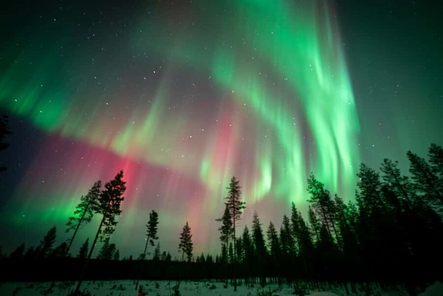 Rovaniemi: Northern Lights Photography Tour & BBQ - Campfire BBQ break: more than a snack stop