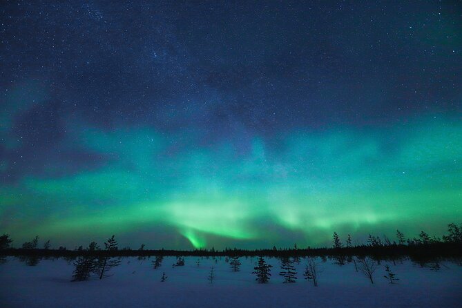 Rovaniemi: Northern Lights Pro Guaranteed - Unlimited Distance - Stop expectations: what each phase feels like on a typical hunt