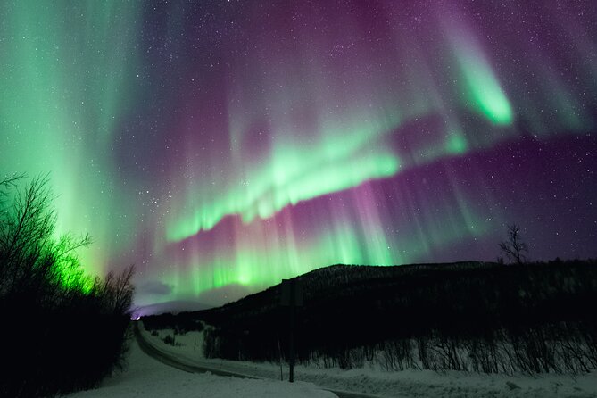 Rovaniemi: Northern Lights Pro Guaranteed - Unlimited (PRIVATE) - Where you might go, and why flexibility beats a fixed itinerary