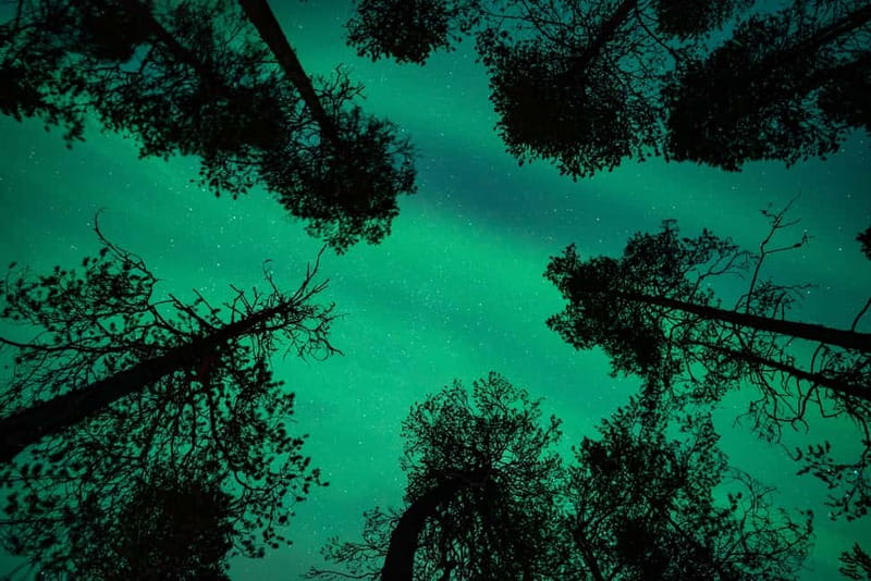 Rovaniemi: Northern Lights Quad Bike Tour - Should you book the Rovaniemi Northern Lights quad bike tour?