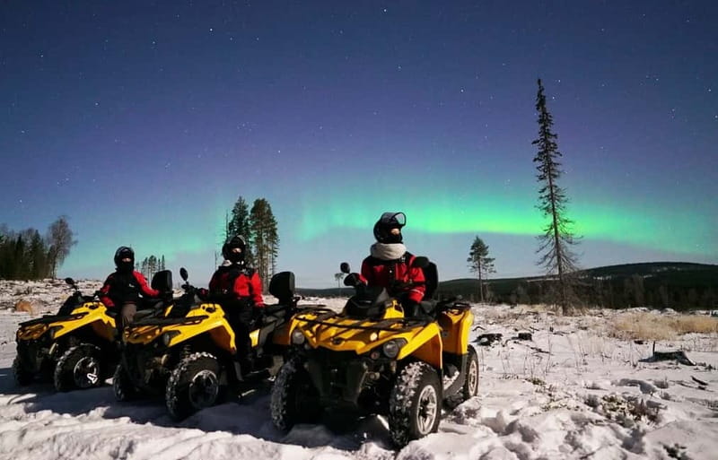 Rovaniemi: Northern Lights Quad Bike Tour - Warm break under the stars: blueberry juice, gingerbread, salmon, and photos