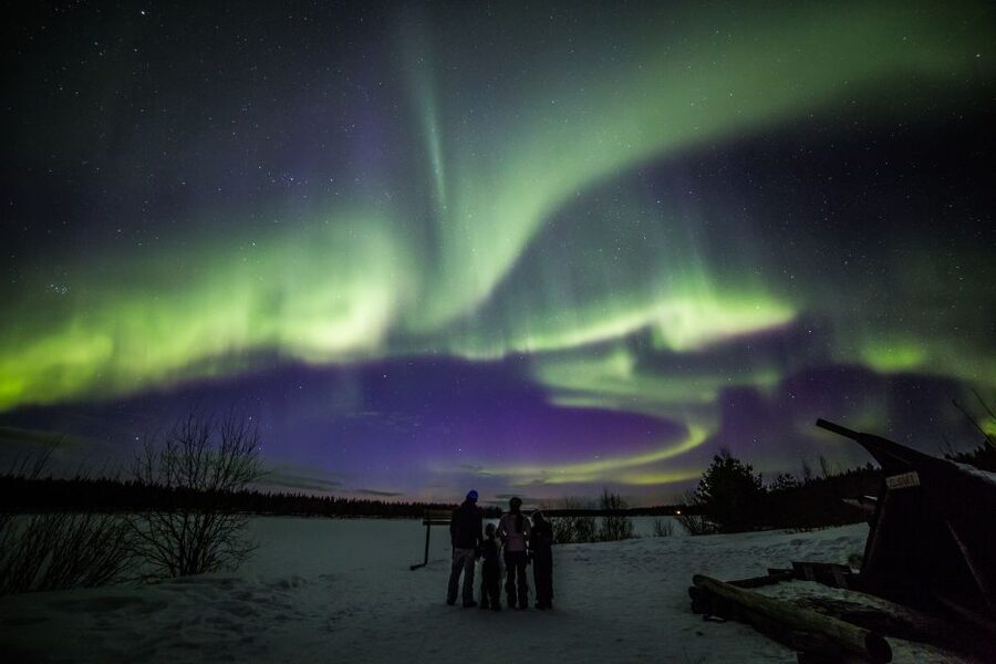 Rovaniemi: Northern Lights Sledge Ride - The Real Pull of a Rovaniemi Aurora Sledge Ride