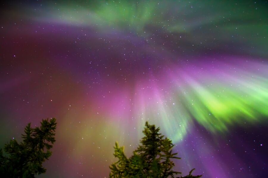 Rovaniemi: Northern Lights Sledge Ride - Price and Value: Is $90 Fair for What You Get?