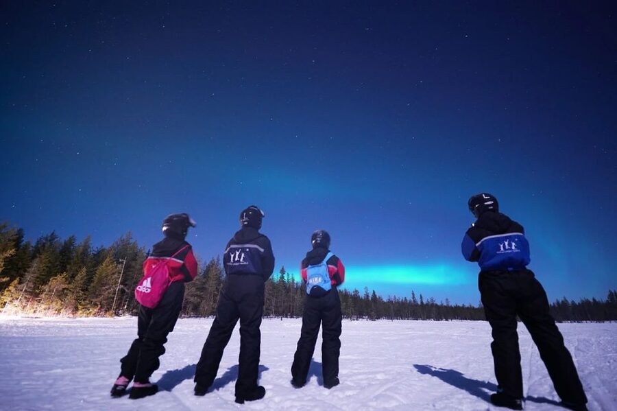 Rovaniemi: Northern Lights Sleigh Ride - Price and value: what you get for $58 per person