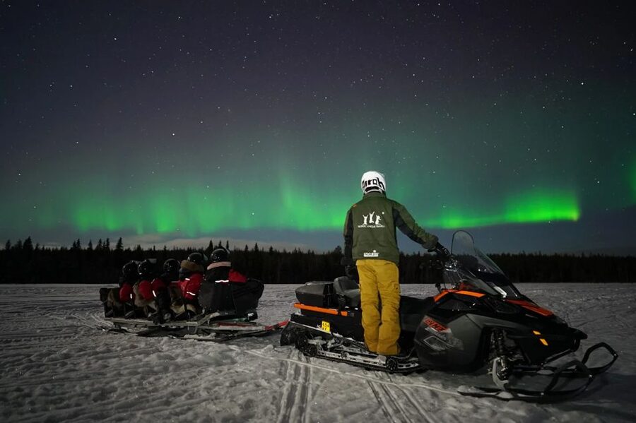 Rovaniemi: Northern Lights Sleigh Ride - Who this tour is best for, and who should skip it