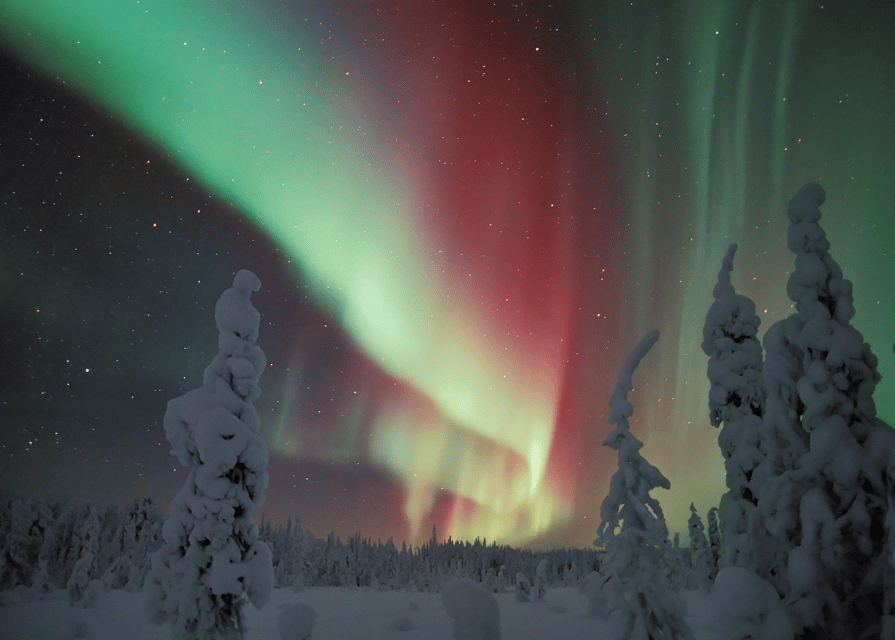Rovaniemi: Northern Lights Snowmobile Safari with Campfire - Meeting in Rovaniemi, Then Sliding Into Winter Mode