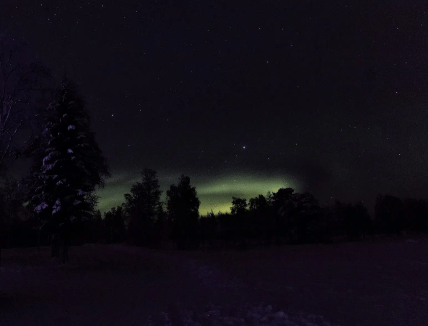 Rovaniemi: Northern Lights Snowmobile Safari with Campfire - Price and Value Around $187 Per Person