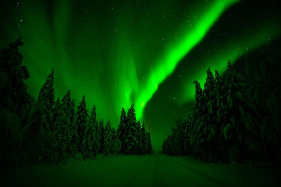 Rovaniemi: Northern Lights Snowmobile Tour - How the Aurora Hunt Actually Happens Between Stops
