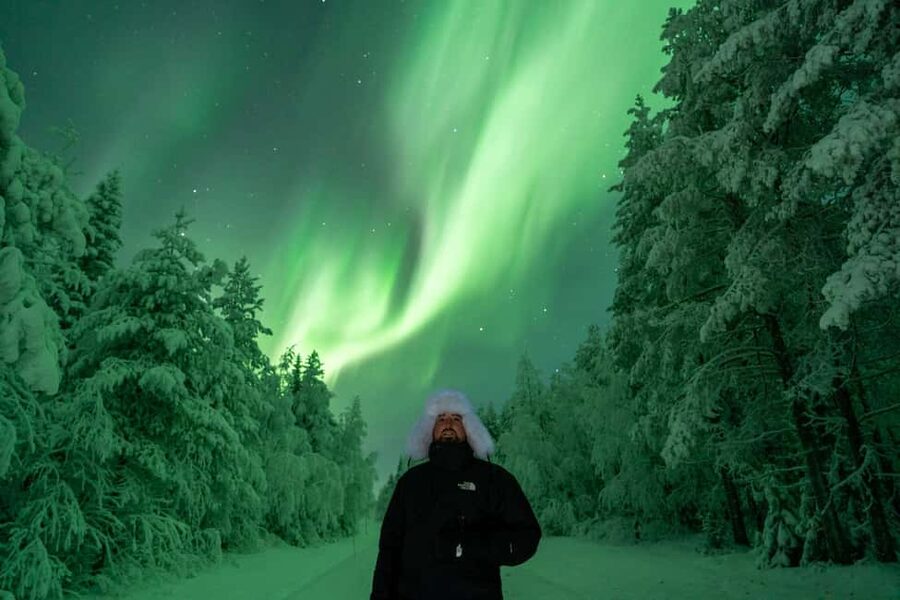 Rovaniemi: Northern Lights Tour - 100% Money Back Guarantee - Pickup times and meeting points, the part that can make or break your night