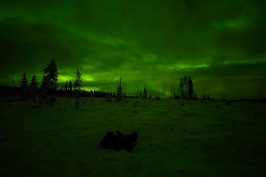 Rovaniemi: Northern Lights Tour at the Campfire - Key things that make this Aurora tour worth considering